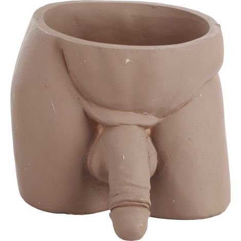 Pot de fleurs original à offrir, idéal pour les petites plantes d'intérieur et les succulentes. Décoration intérieure.