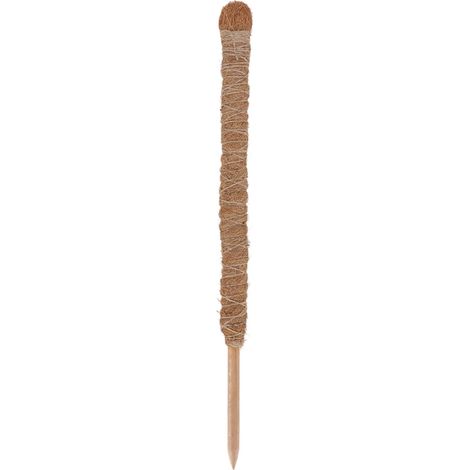 Esschert Design Pflanzstab Kokos S für den Innenbereich 75 cm (1/2)