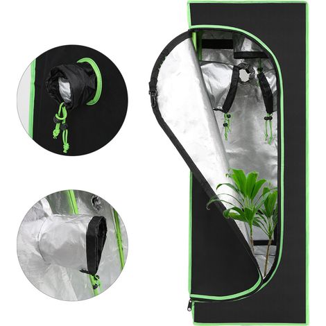 Randaco Growbox 40x40x120cm Professionelles Growzelt, ideal für Tomaten Salat Kräuter (1/5)