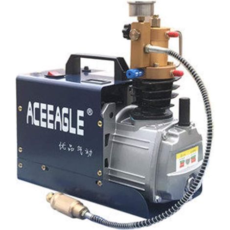 1800 W PCP-Luftkompressor 300 Bar 4500 Psi Hochdruck-Luftkompressor PCP-Luftgewehr-Tauchpumpe 220 V-Mit Öl-Wasser-Trenner, 30 MPa Hochdruck PCP Inflator für die Aufblasflasche