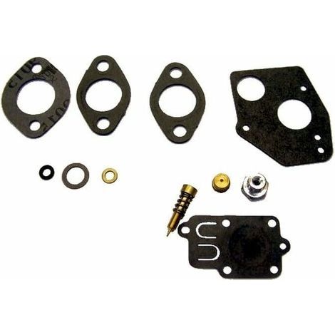 Kit membrane + joint de carburateur pour BRIGGS ET STRATTON (1/3)