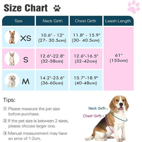 Harnais pour Chiens avec Laisse, Harnais Sécurisé Anti-Traction (1/4)
