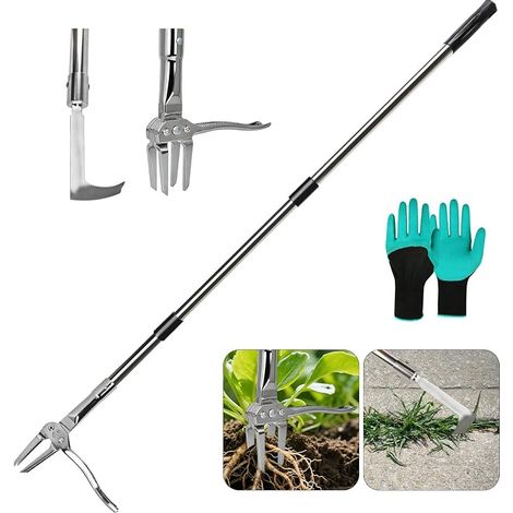 Coupe-mauvaises herbes 128 cm en acier inoxydable avec 4 griffes métalliques, désherbage vertical et arracheur de pissenlit, tête de joint de rechange et (1/3)