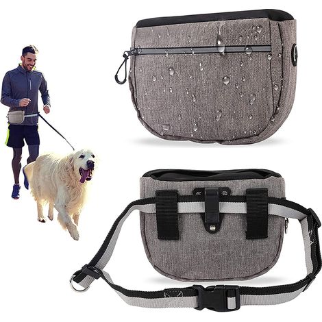 Sac À Friandises Pour Chien - Fermeture Automatique - Ceinture Réglable - Tissu Oxford - Double Compartiment - 1 Pièce (1/5)