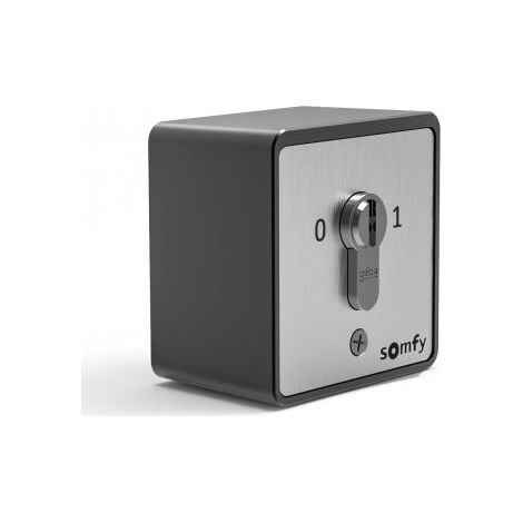 Somfy – Contact à clé universel en saillie fixe – Pour portail, porte de garage, volet roulant – Boîtier métallique laqué – 3 clés incluses (1/2)