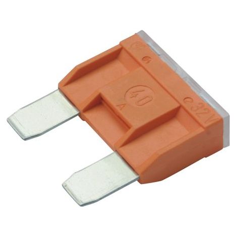 Lot de 5 Fusibles BOSCH 1 987 529 020