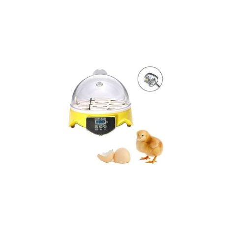 Incubateur automatique pour œufs de volaille (7 œufs) avec contrôle de température, éclosoir pour poules Z-HG- Parfait (1/2)