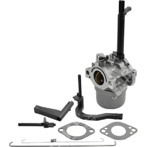 Schüsselvergaser für BRIGGS & STRATTON-Motoren 591378 - 050066