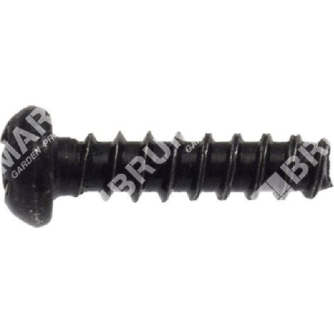 Vite fissaggio anello ingranaggio ruota pm4665shwh - 045883