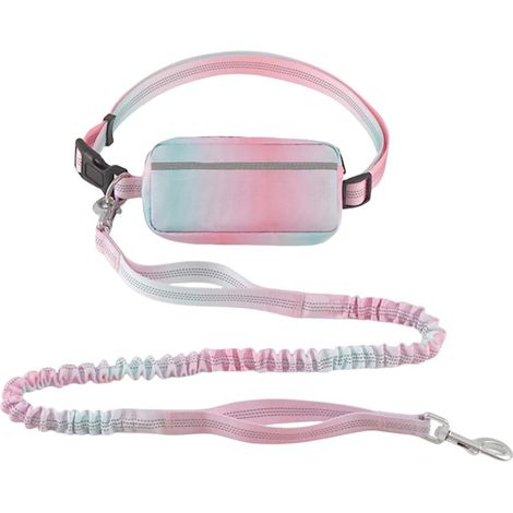 Laisse mains libres pour chien avec pochette zippée et double poignée – Laisse élastique réfléchissante et résistante pour la marche, le jogging et la course – Idéale pour les chiens de taille moyenne (1/5)