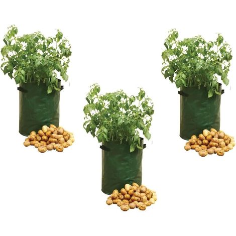 Filiyano-Lot de 3 sacs de culture pour pommes de terre - Sacs de jardin avec poignées latérales - Parfaits pour la plantation de pommes de terre (10 (1/4)