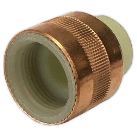 Electrolytic Sleeve Anti Electrolisis Plumbing Fitting 2 Unt 3/4" Male/Female Connector Nylon and Copper Plumbing Accessories for Gas and Electric Water Heaters