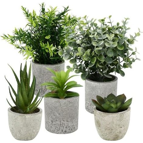 5 Pieces Plantes Artificielle, Mini Plantes artificielles Interieur Serpentine, Agave succulentes, Griffe d'aigle Aloe Vera, pour Chambre Bureau Decoration (1/4)