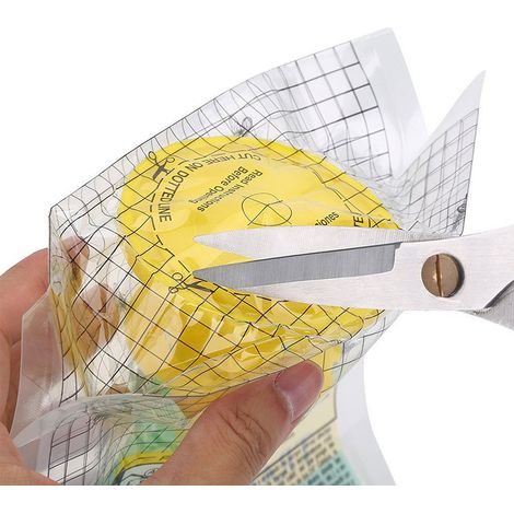 Piège à mouches jetable, pratique et efficace pour lutter contre les insectes nuisibles. Non toxique, à suspendre. Sac inclus. (1/3)