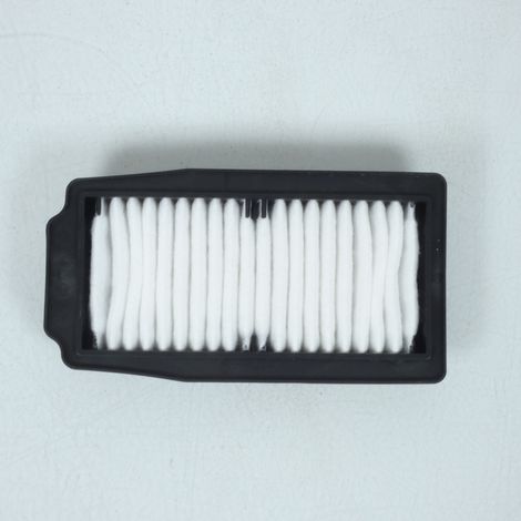 Filtre à air Champion pour Moto Suzuki 250 DL V-strom 2018 à 2020 (1/4)