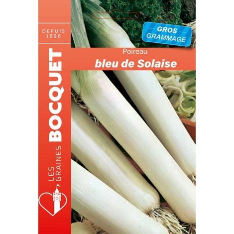 Poireau bleu de solaise gros grammage - 12g