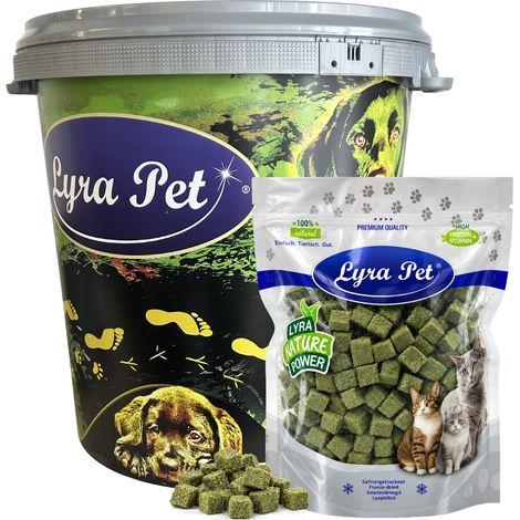 1 kg (5 x 200 g) Lyra Pet® Cubes d'herbe à chat lyophilisés + seau de 30 L
