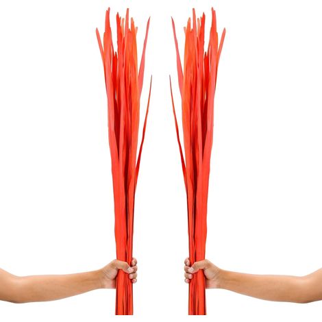 Foglie Palma Essiccate Vasi Terra Naturali Arancioni 113 cm (1/5)