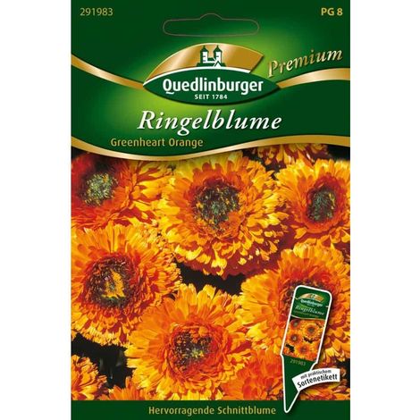 Quedlinburger Ringelblume Greenheart orange - Blumensamen (1/2)