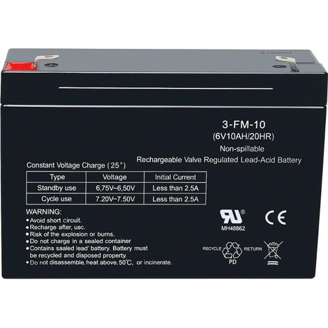 Batteria 6V 10Ah Ricambio Compatibile con Giochi Elettrici per Bambini