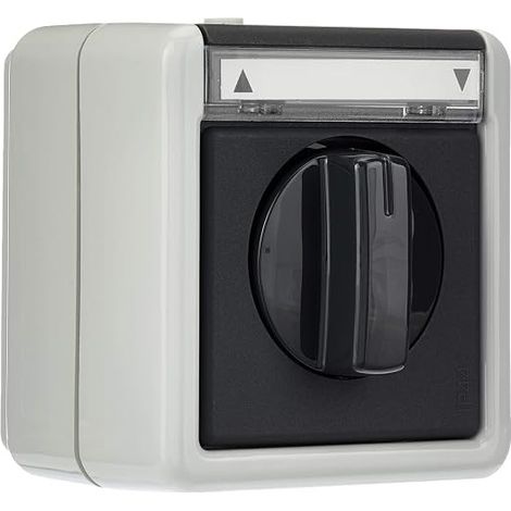 GIRA 015430 BOUTON-POUSSOIR/INTERRUPTEUR DE STORES UNIPOLAIRE AVEC ZONE D''''''''''''''''INSCRIPTION 10 A 250 V, AVEC PARTIE INFÉRIEURE