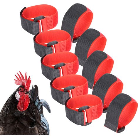 10 pièces Collier de Coq pour arrêter de Chanter Collier en Nylon Anti-Crochet Collier de Sangle de Cou Bruit Rouge Collier de Poulet pour Animaux de Compagnie