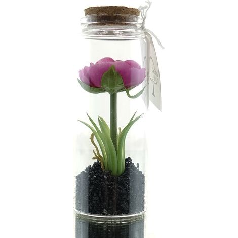 GASPER Ranunkel im Glas mit Deckel 12,5 cm pink