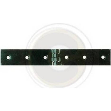 12 x CERNIERA A LIBRETTO ACCIAIO P/CASSE 200 X 30 MM