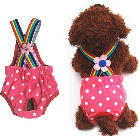 Couches lavables pour petits chiens avec bretelles, culottes hygiéniques et physiologiques pour animaux de compagnie (1/5)