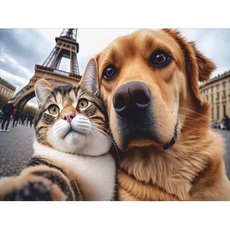 VELVET CAT & DOG SELFIE PARIS 45X75 MERCURY 007798-1