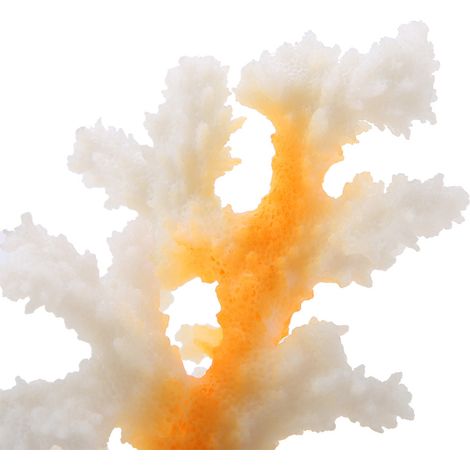 Anémones de Corail Lumineuses en Silicone pour Aquarium Décoration Réaliste Jaune-AUTRES (1/5)