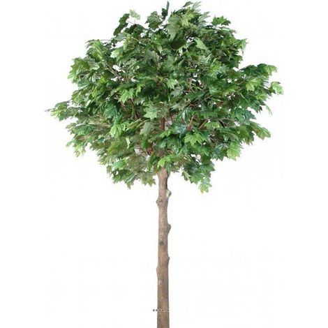 Platane arbre factice H300cm L190cm Tronc bois & fibre verre platine - dimhaut: H 300 cm - couleur: Vert
