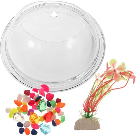 Jardinière murale en acrylique transparent pour plantes et poissons (1/5)