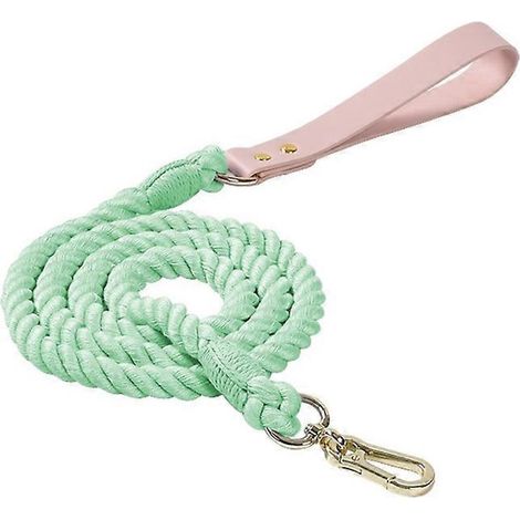 Gewebte Hundeleine mit Farbverlauf, Katzenleine, Haustierleine 120 cm x 12 mm, mintgrün