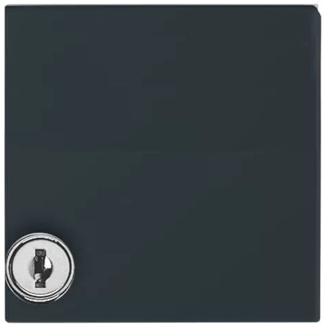 Busch-Jaeger Zwischenring anth mit Klappdeckel 2118 GKSL-35 (1/2)