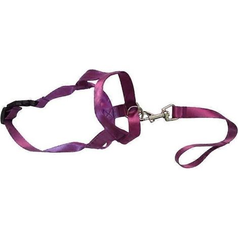 Muselière souple en nylon ventilée et élastique pour chien, protégeant la gueule des animaux de compagnie et empêchant les morsures - Violet L