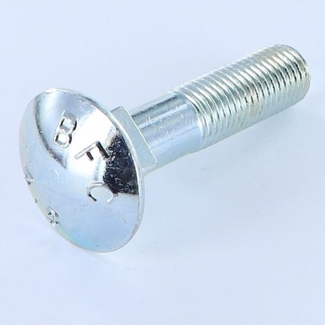 TRCC JAPY tête ronde collet carré M16X90 Filetage partiel Acier zingué-1 pièce (1/3)