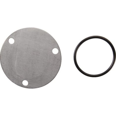 Deckel-Ölpumpe BRIGGS ET STRATTON 499613