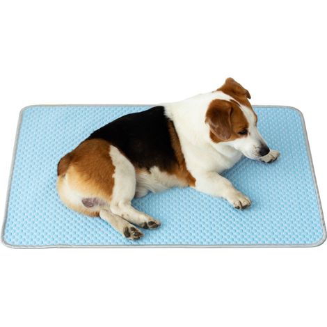 Tapis rafraîchissant pour animaux de compagnie Blue Bean Ice Pad pour chiens et chats XXL (1/2)