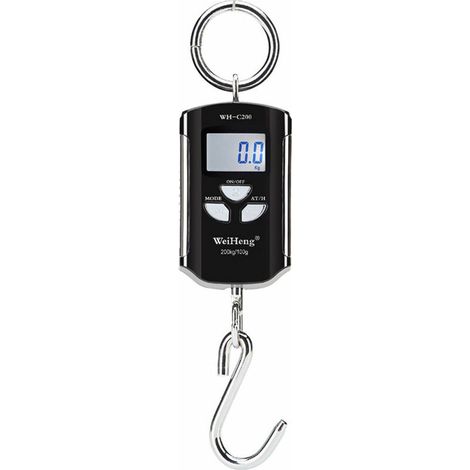 Balance de grue électronique portable, balance à bagages, plage de mesure précise 200 kg/100 g crochet en acier inoxydable audacieux, cadre argent - cadre argent (1/5)