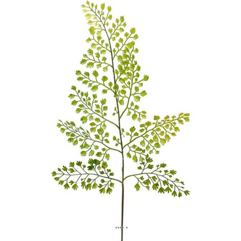 Adiantum artificielle en branche H 59 cm très aérienne L 20 cm