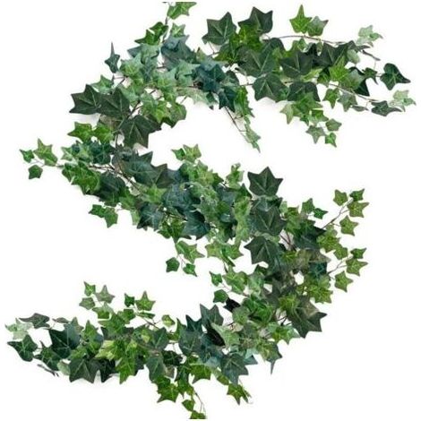 3 Pièces Guirlande Lierre Artificiel Plantes Grimpantes Décoration Intérieur Extérieur pour Chambre Jardin Bureau Fête Mariage (1/4)
