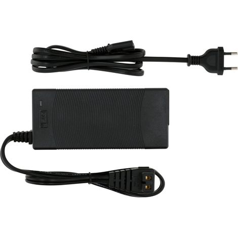 Adapter 12V / 220V - EU-Steckdose - Eza