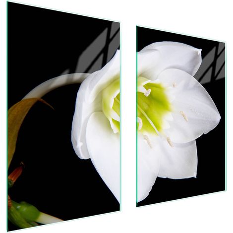 PLACA PROTECTORA DE VIDRIO PARA COCINA 65x52 ORQUÍDEA (1/5)