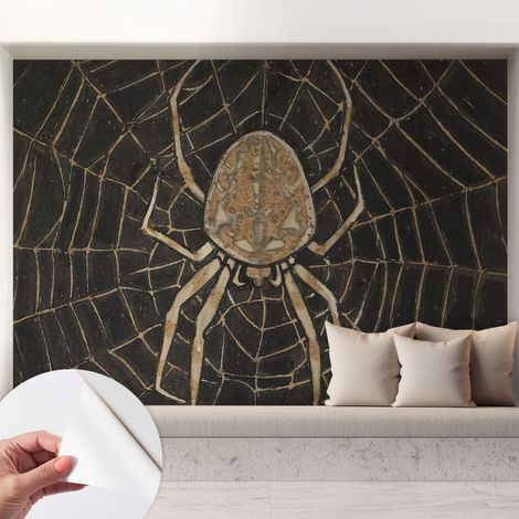 Papier peint adhésif décoratif pour salon chambre et cuisine Facile à poser avec colle Toile d'araignée 208x146 cm (1/5)