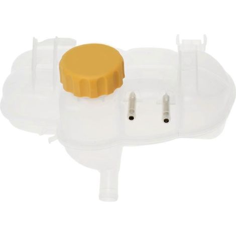 Réservoir d'eau auxiliaire 13160252 395294952 13127096 pour Opel Vauxhall (1/5)