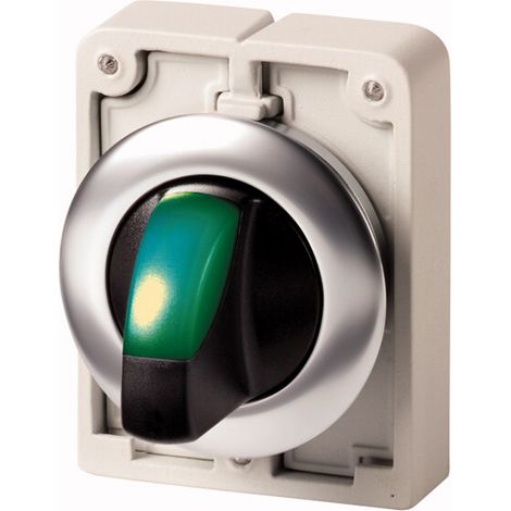 Commutateurs rotatifs lumineux 30mm a manette vert 2 positions à accrochage EATON M30C-FWRLK-G