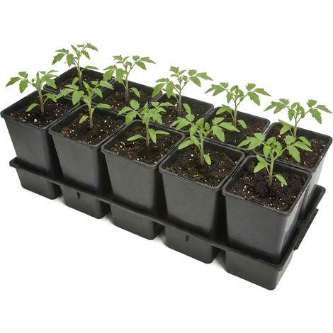 Garronda Kit de Semis Plateau 10 Trous avec Godets 1,7 L - Plateau de Semis Plastique PP Réutilisable Serre Jardin Intérieur Extérieur Horticulture Repiquage Culture Plantation GD-0208 Noir