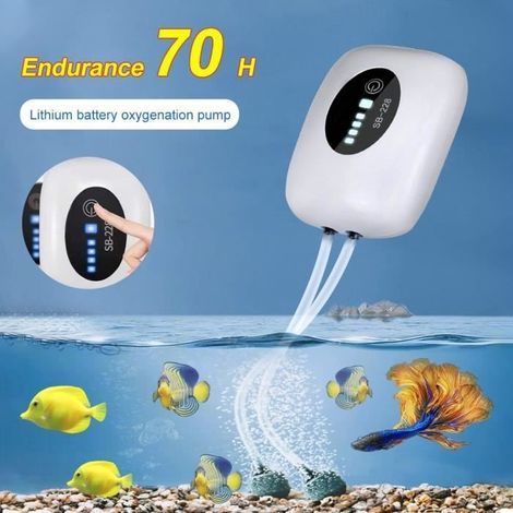 Pompe à Air pour Aquarium, Rechargeable par USB, 2w, double sortie, fonctionnement silencieux, performant oxygène pompe (1/4)