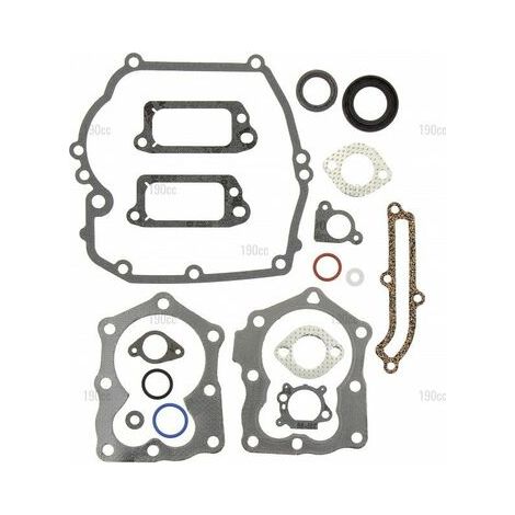 Kit de joints BRIGGS ET STRATTON 590508 (1/2)